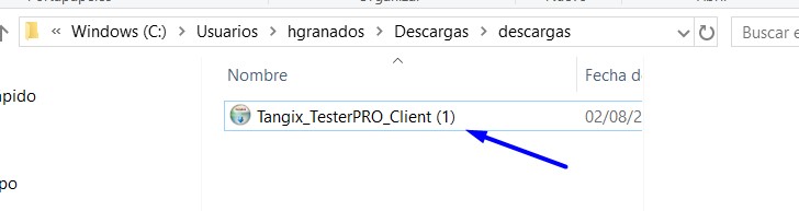 INSTALACION-TANGIX-TESTERPRO-CLIENT